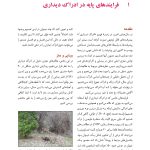 روانشناسی شناختی توجه و ادراک دیداری - صفحه 11