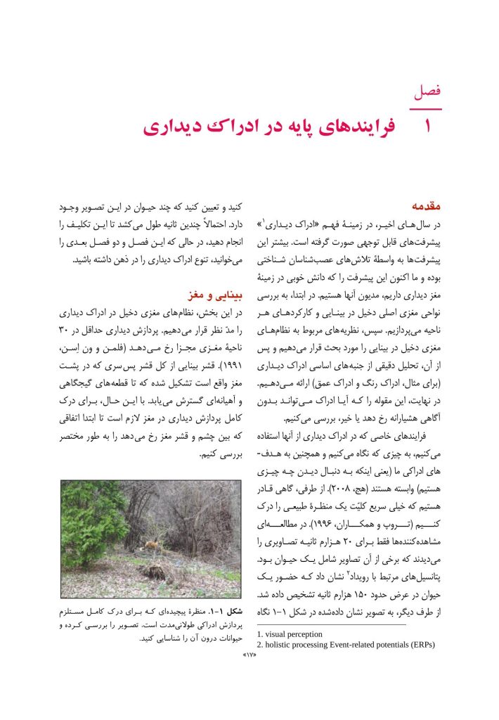 روانشناسی شناختی توجه و ادراک دیداری - صفحه 11