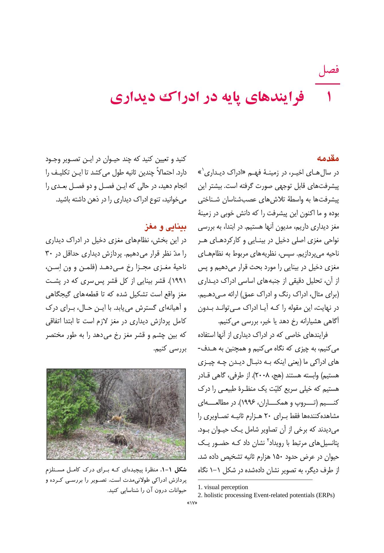روانشناسی شناختی توجه و ادراک دیداری - صفحه 11