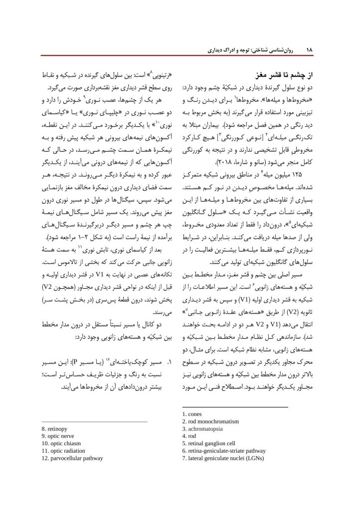 روانشناسی شناختی توجه و ادراک دیداری - صفحه 12