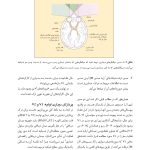 روانشناسی شناختی توجه و ادراک دیداری - صفحه 13