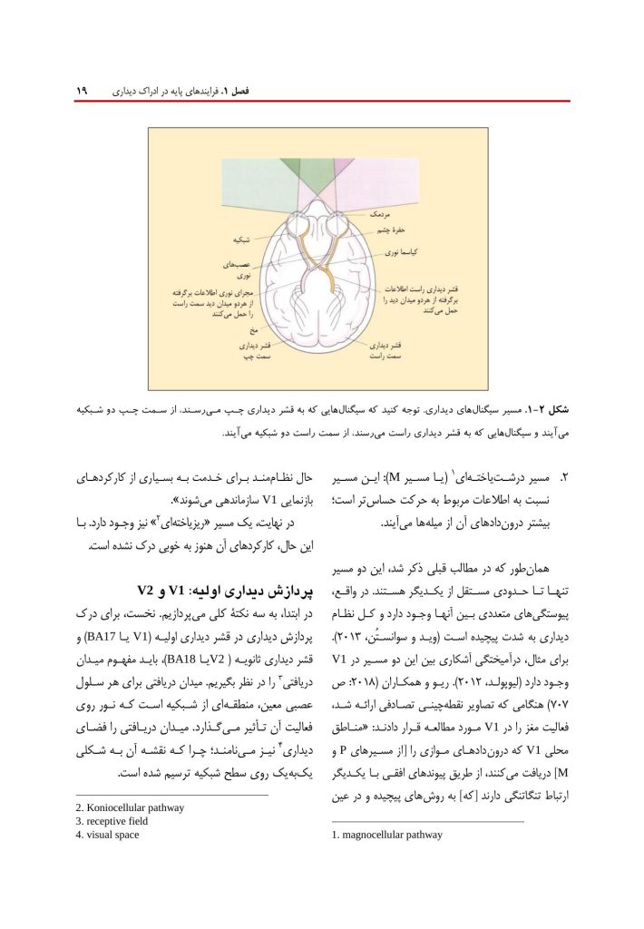 روانشناسی شناختی توجه و ادراک دیداری - صفحه 13