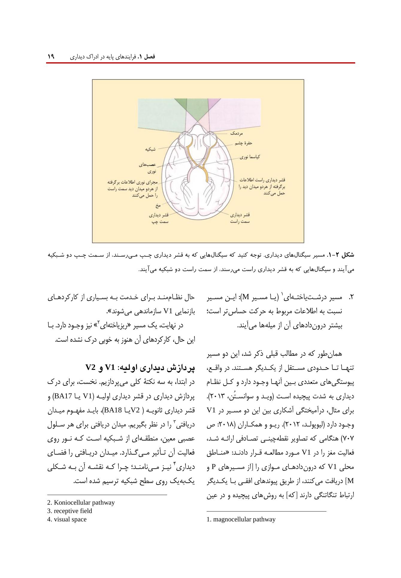 روانشناسی شناختی توجه و ادراک دیداری - صفحه 13