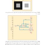 روانشناسی شناختی توجه و ادراک دیداری - صفحه 15
