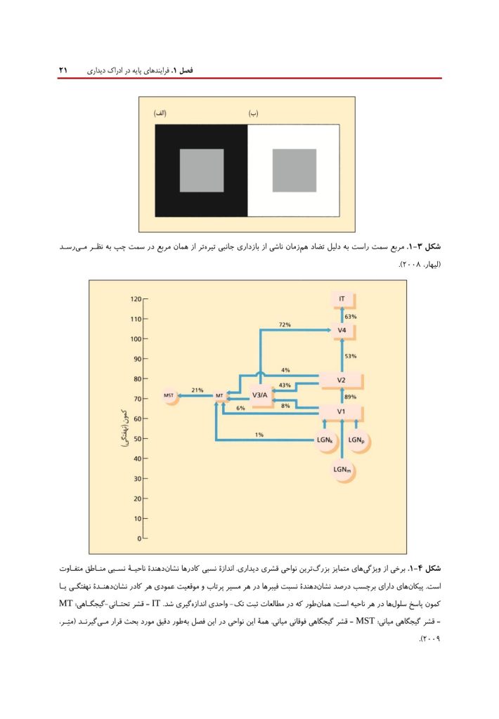 روانشناسی شناختی توجه و ادراک دیداری - صفحه 15