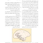 روانشناسی شناختی توجه و ادراک دیداری - صفحه 17