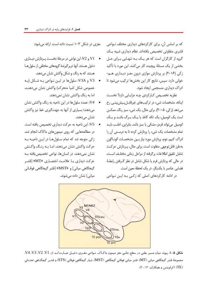 روانشناسی شناختی توجه و ادراک دیداری - صفحه 17