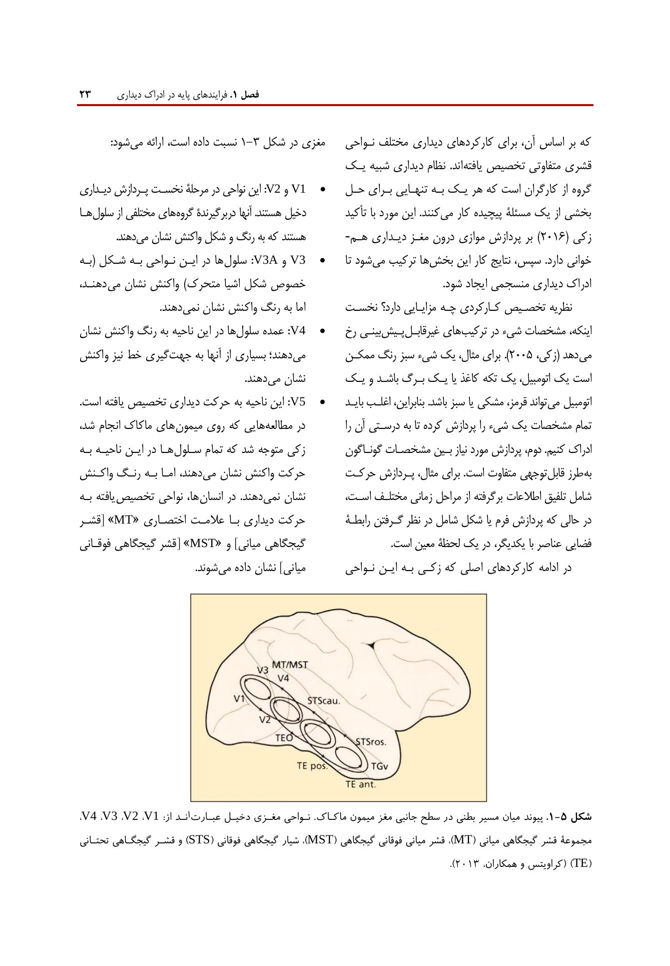 روانشناسی شناختی توجه و ادراک دیداری - صفحه 17