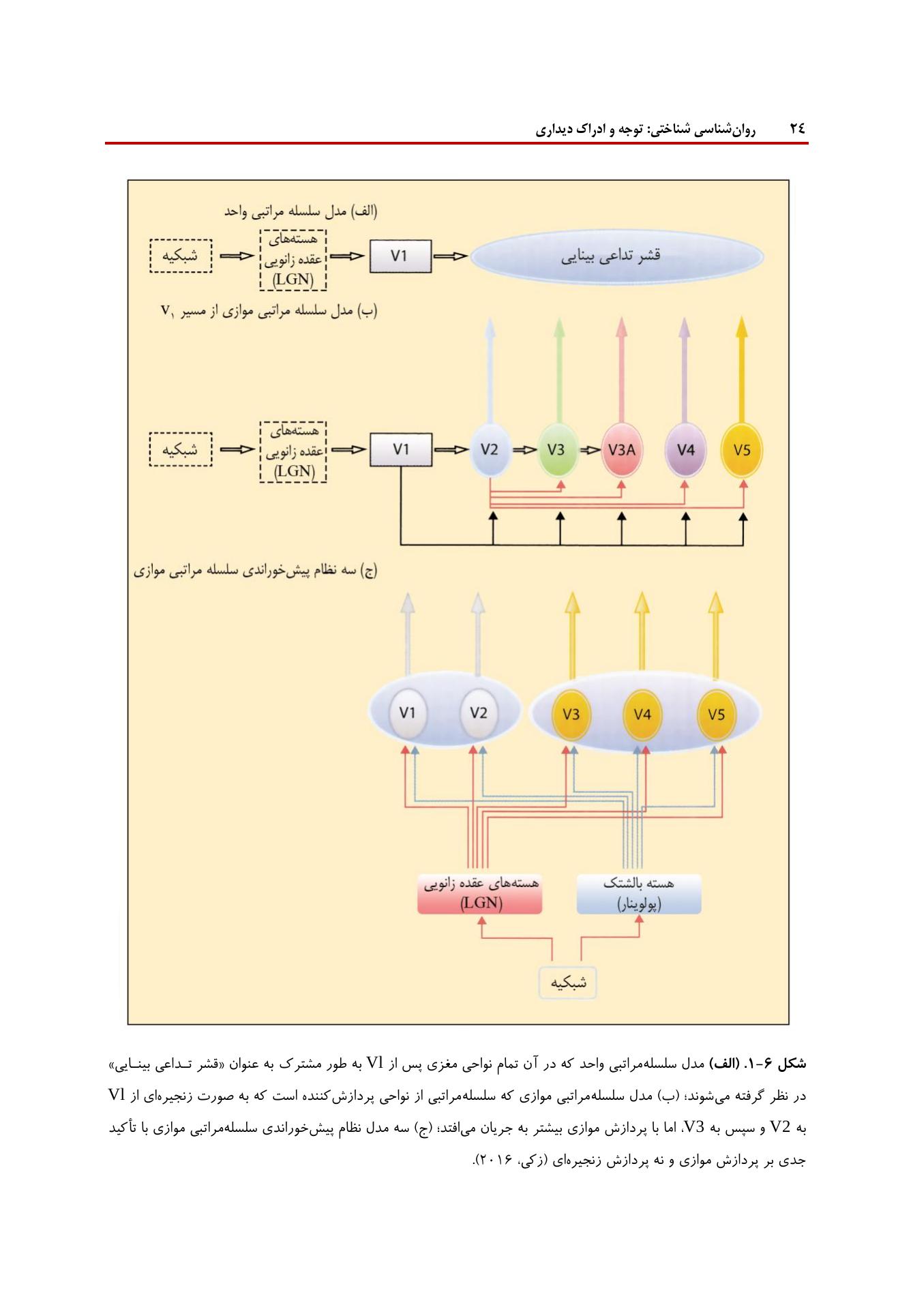 روانشناسی شناختی توجه و ادراک دیداری - صفحه 18