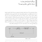 رویکرد فرمولبندی بیمار به درمان شناختی-رفتاری - صفحه 10