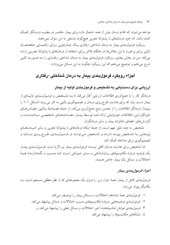 رویکرد فرمولبندی بیمار به درمان شناختی-رفتاری - صفحه 15