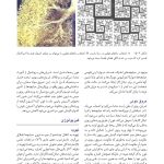 مبانی طب داخلی سیسیل 2022:بیماریهای دستگاه تنفس - صفحه 20