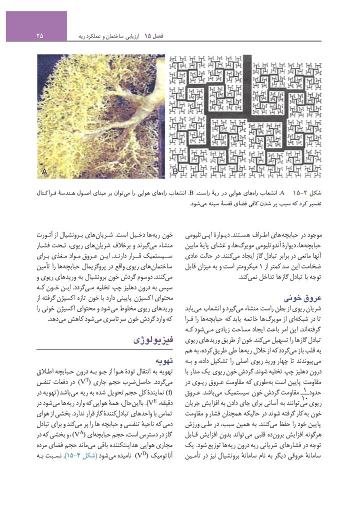 مبانی طب داخلی سیسیل 2022:بیماریهای دستگاه تنفس - صفحه 20