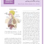 مبانی طب داخلی سیسیل 2022:بیماریهای دستگاه تنفس - صفحه 5
