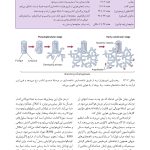 مبانی طب داخلی سیسیل 2022:بیماریهای دستگاه تنفس - صفحه 7