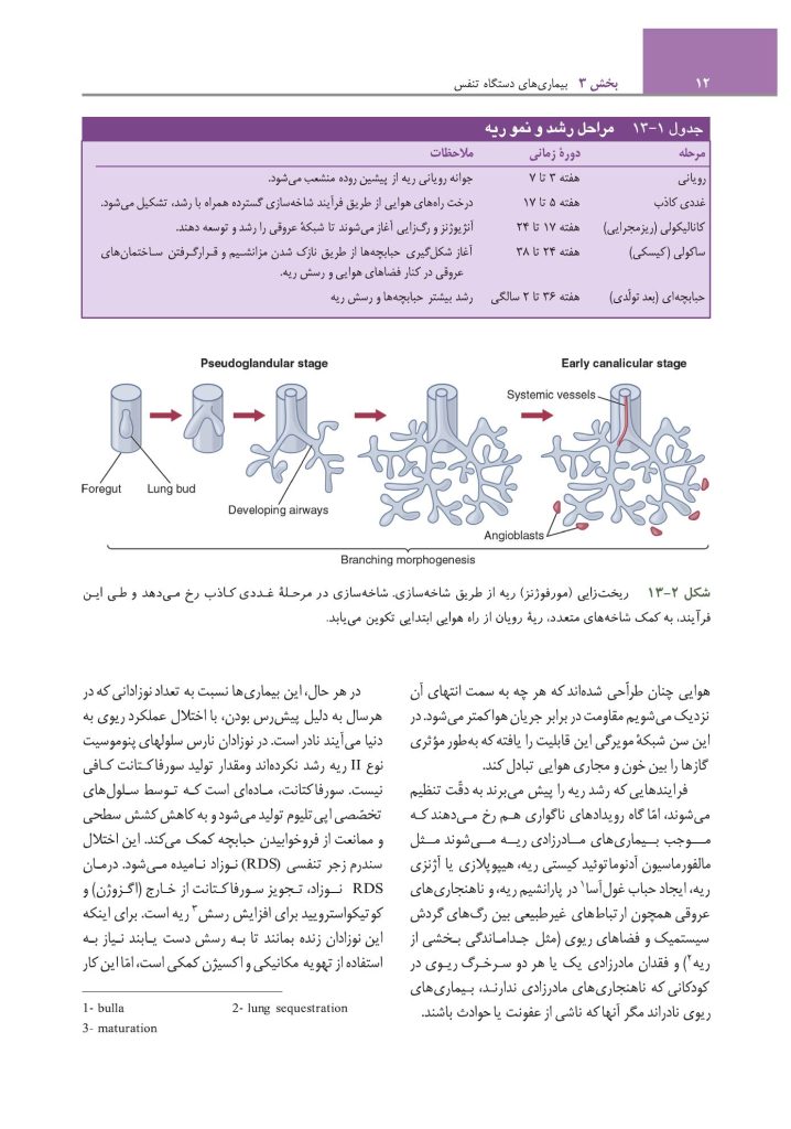 مبانی طب داخلی سیسیل 2022:بیماریهای دستگاه تنفس - صفحه 7