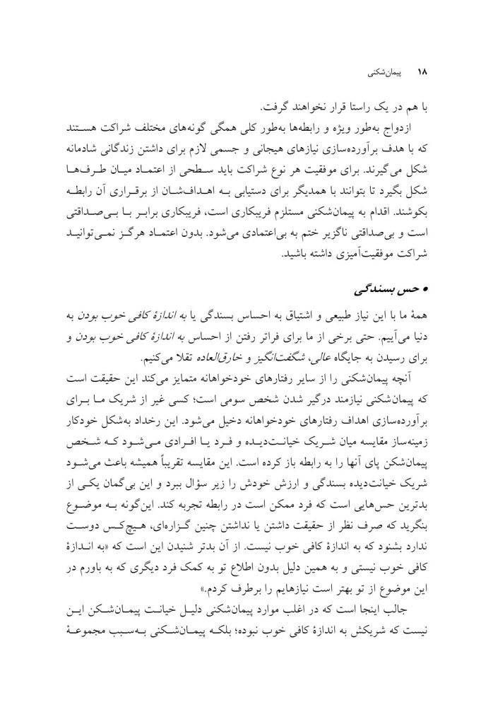 پیمان شکنی - صفحه 13