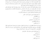 آموزش مقدماتی کارکردهای اجرایی - صفحه 9