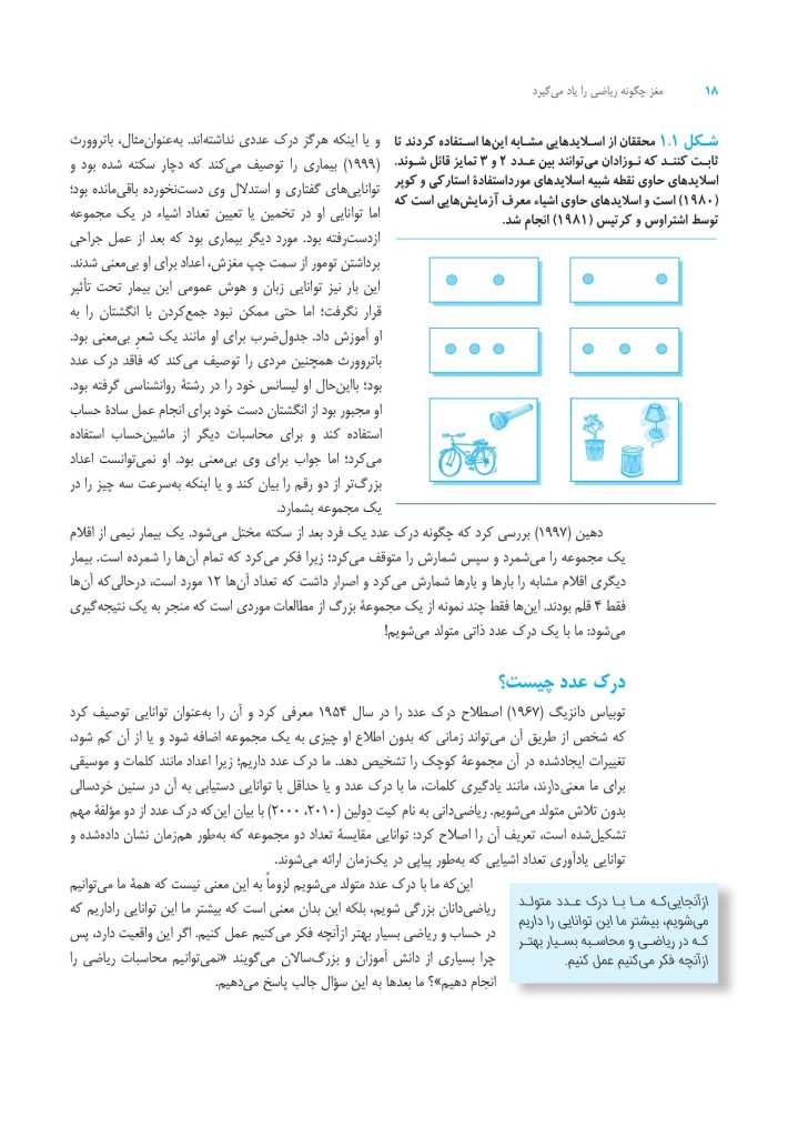 مغز چگونه ریاضی را یاد میگیرد. - صفحه 15