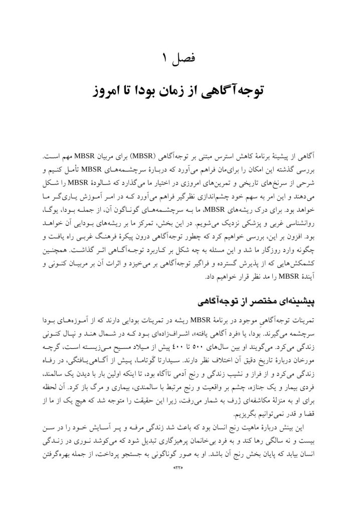 کاهش استرس مبتنی بر توجهآگاهی - صفحه 11