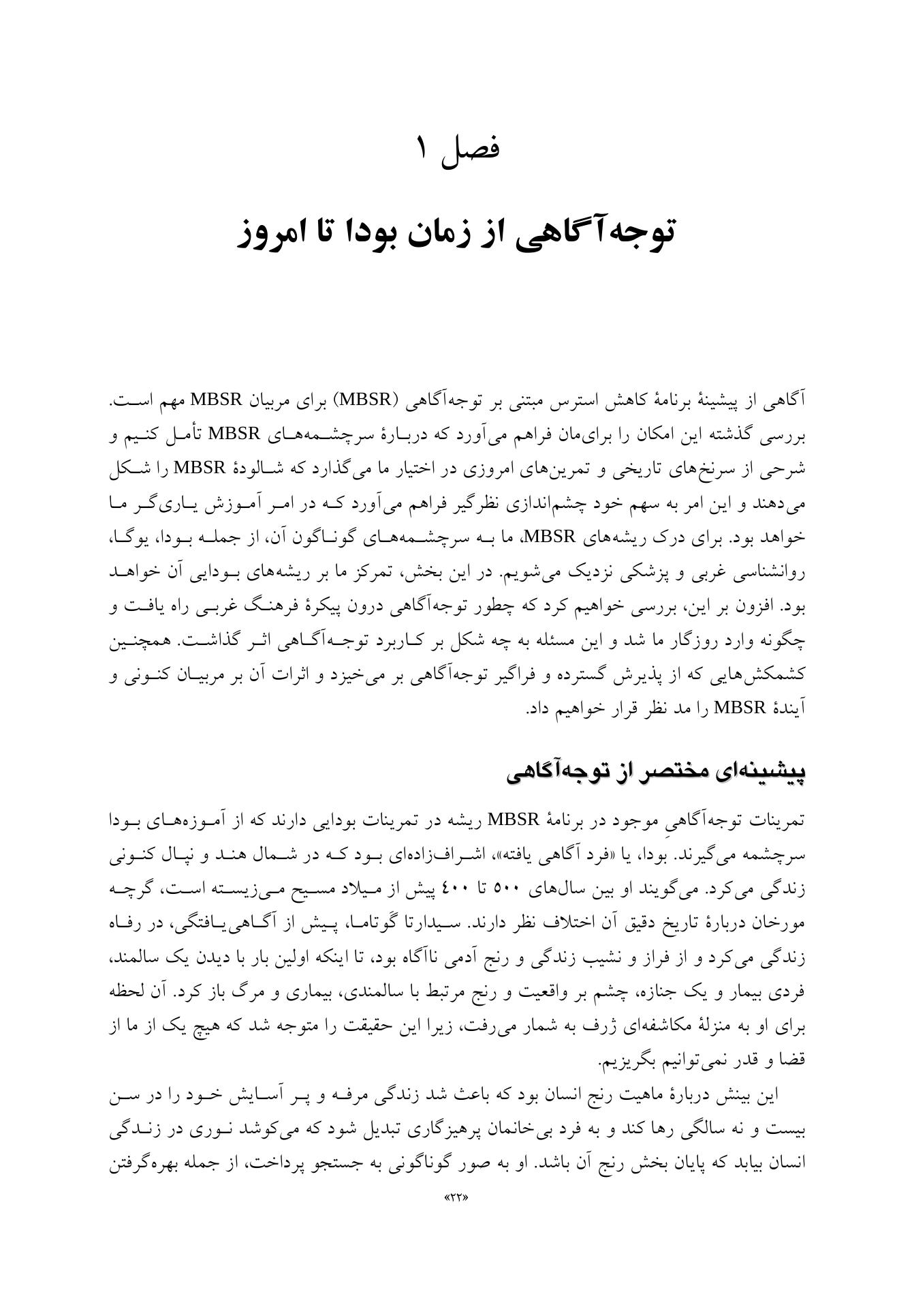 کاهش استرس مبتنی بر توجهآگاهی - صفحه 11