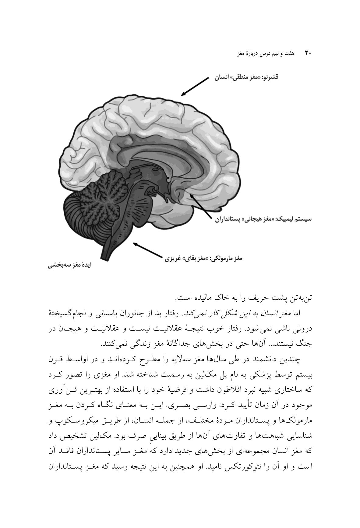 هفت و نیم درس درباره مغز - صفحه 14