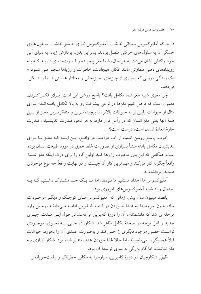 هفت و نیم درس درباره مغز - صفحه 4