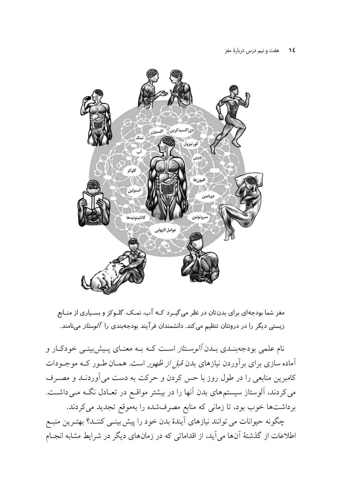 هفت و نیم درس درباره مغز - صفحه 8