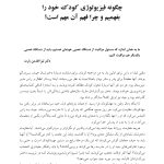 فرزندپروری مغز-بدن - صفحه 13