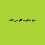 کتاب تناسب اندام مغز - صفحه 4