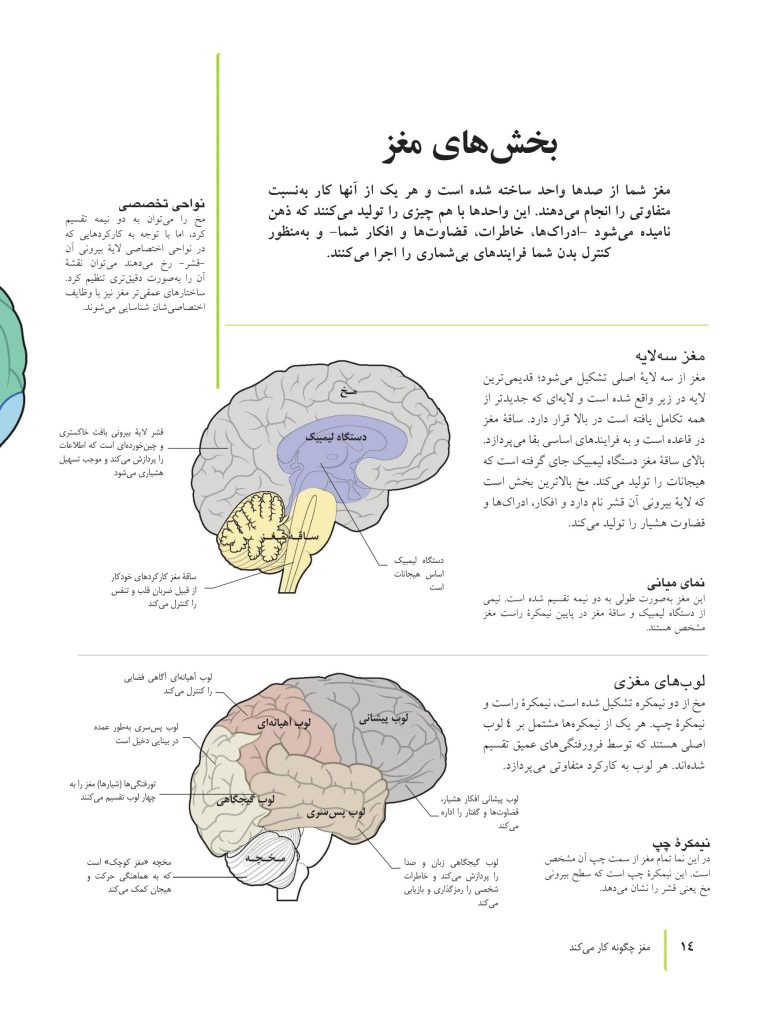 کتاب تناسب اندام مغز - صفحه 5