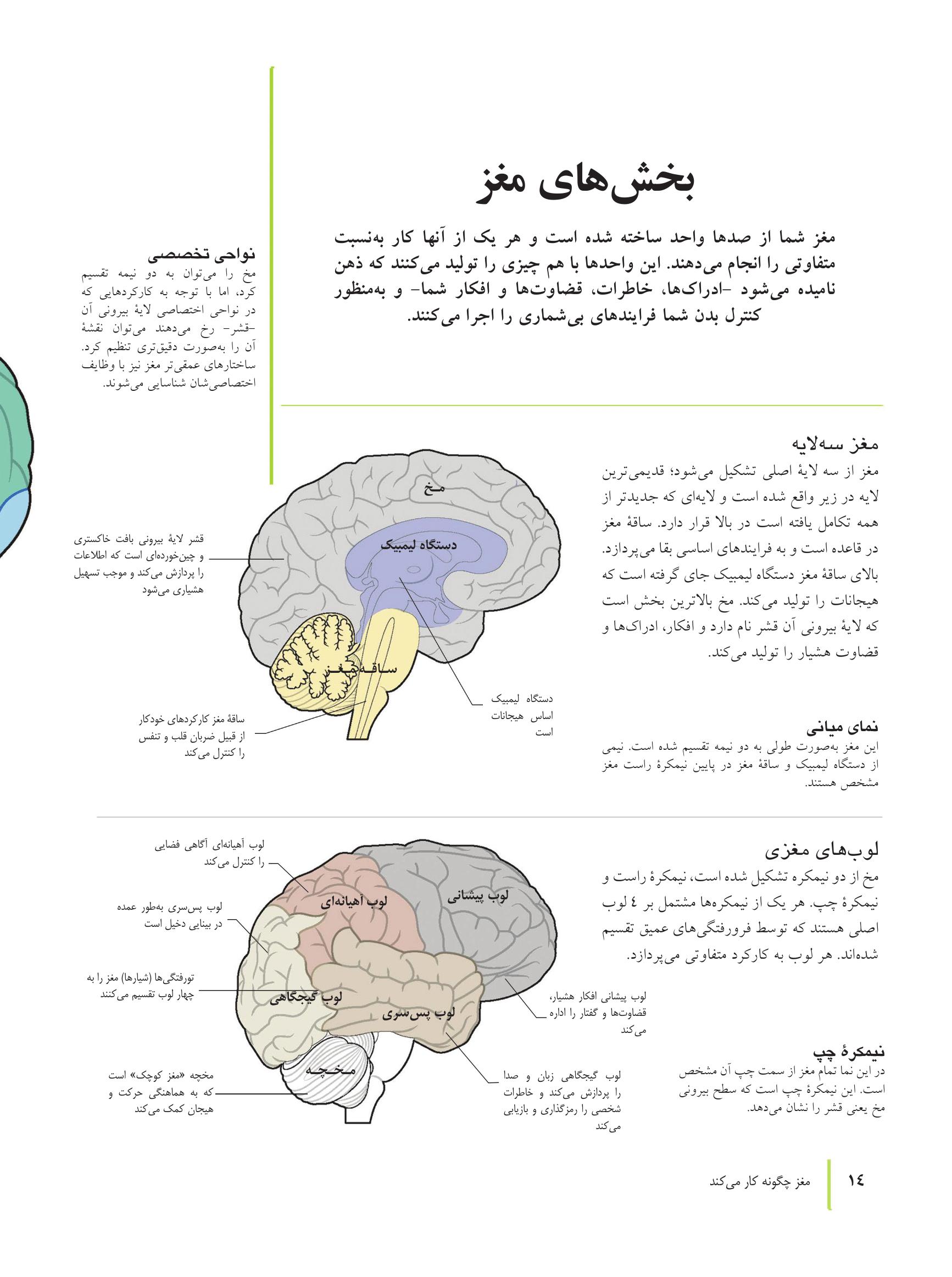 کتاب تناسب اندام مغز - صفحه 5