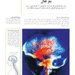 کتاب تناسب اندام مغز - صفحه 7