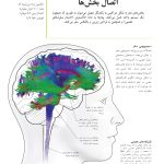 کتاب تناسب اندام مغز - صفحه 9