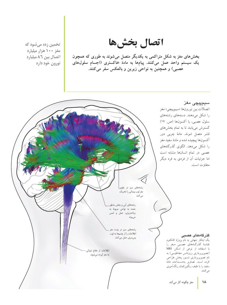 کتاب تناسب اندام مغز - صفحه 9
