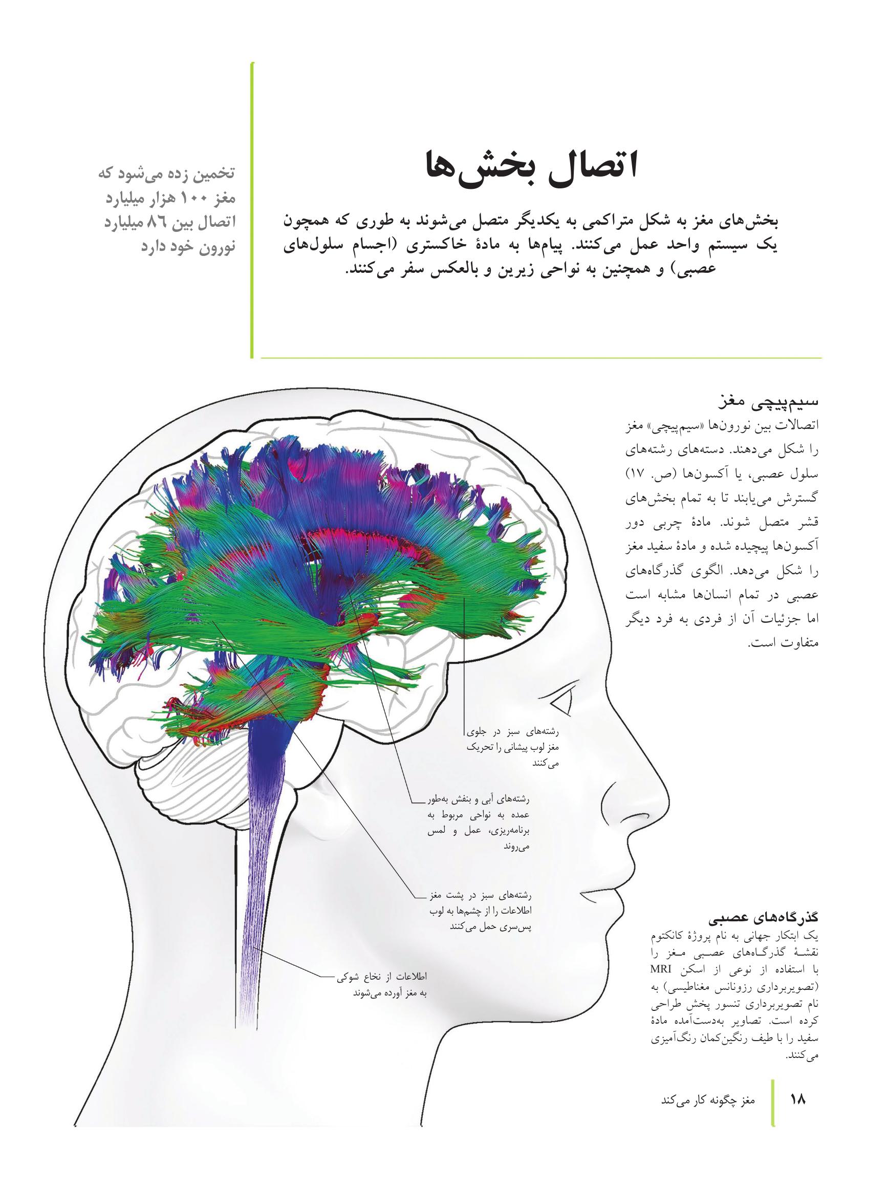 کتاب تناسب اندام مغز - صفحه 9