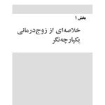زوج‌درمانی یکپارچه‌نگر در عمل - صفحه 4