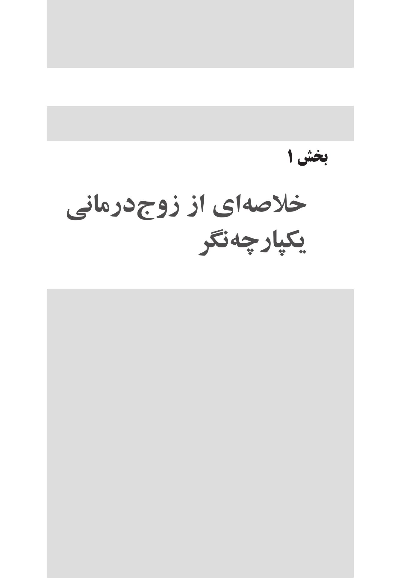 زوجدرمانی یکپارچهنگر در عمل - صفحه 4