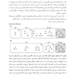 زبان و مغز - صفحه 10