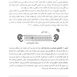 زبان و مغز - صفحه 9