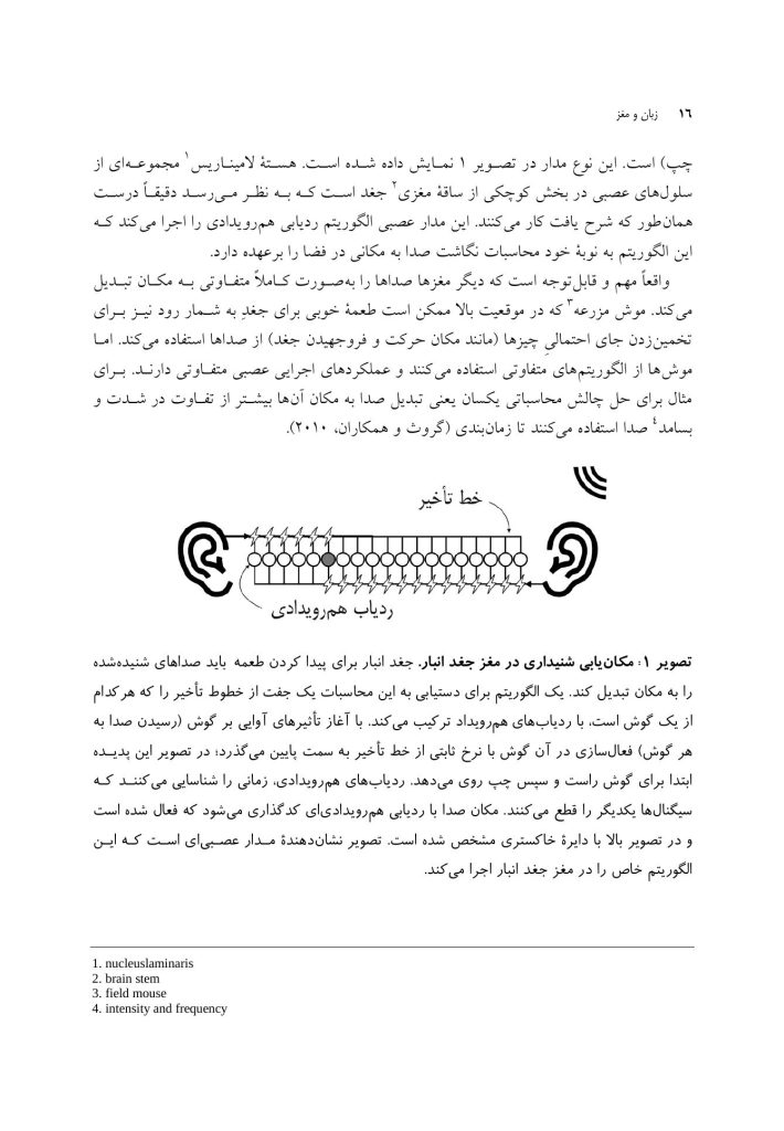 زبان و مغز - صفحه 9