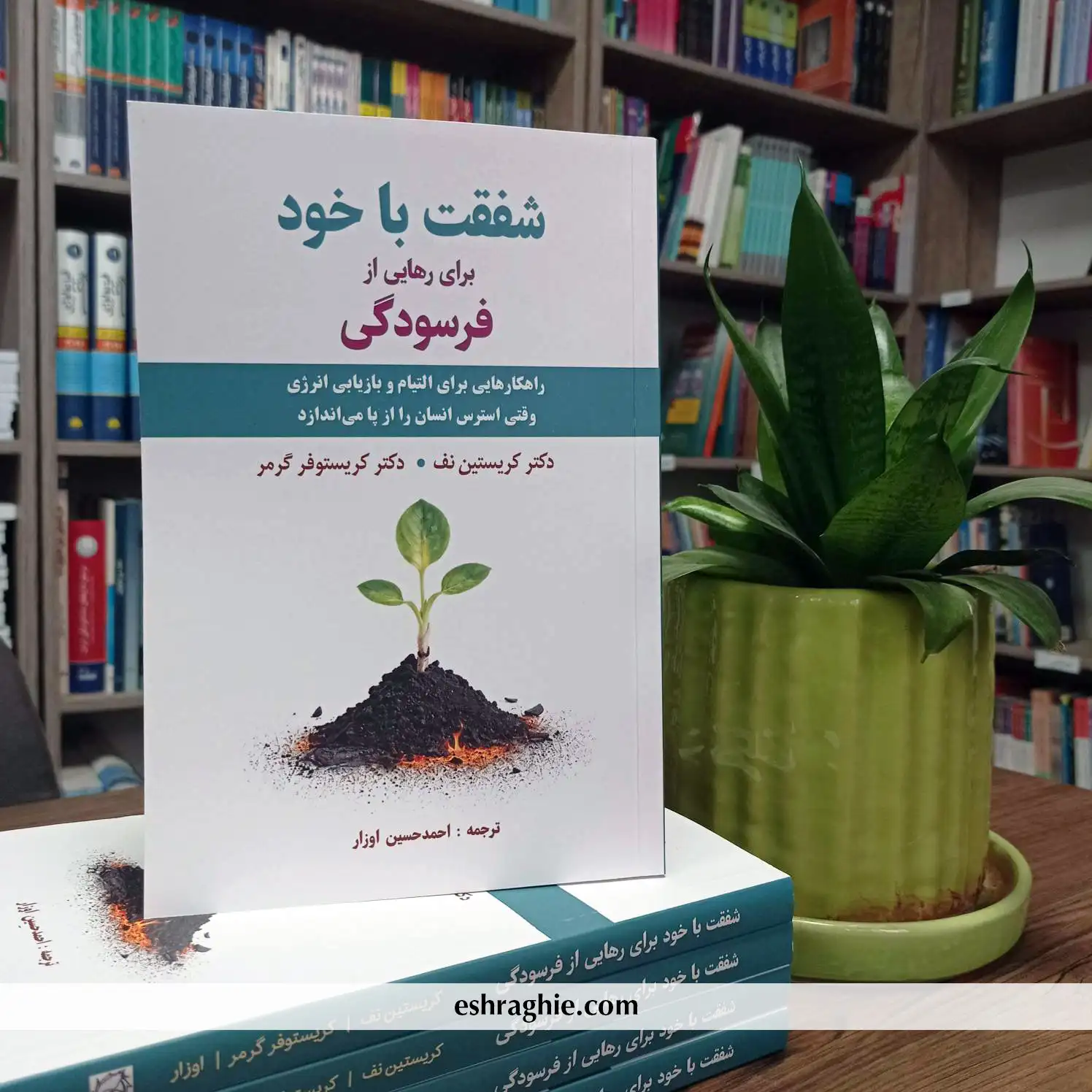 شفقت با خود برای رهایی از فرسودگی | اثر کریستین نف - تصویر 17
