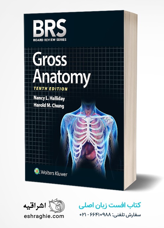 جلد کتاب BRS Gross Anatomy (Board Review Series)