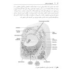فیزیولوژی پزشكی - صفحه 13