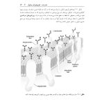 فیزیولوژی پزشكی - صفحه 14