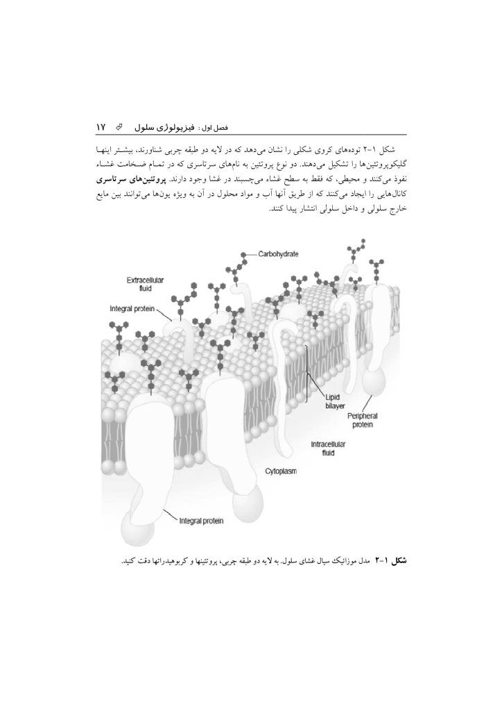 فیزیولوژی پزشكی - صفحه 14