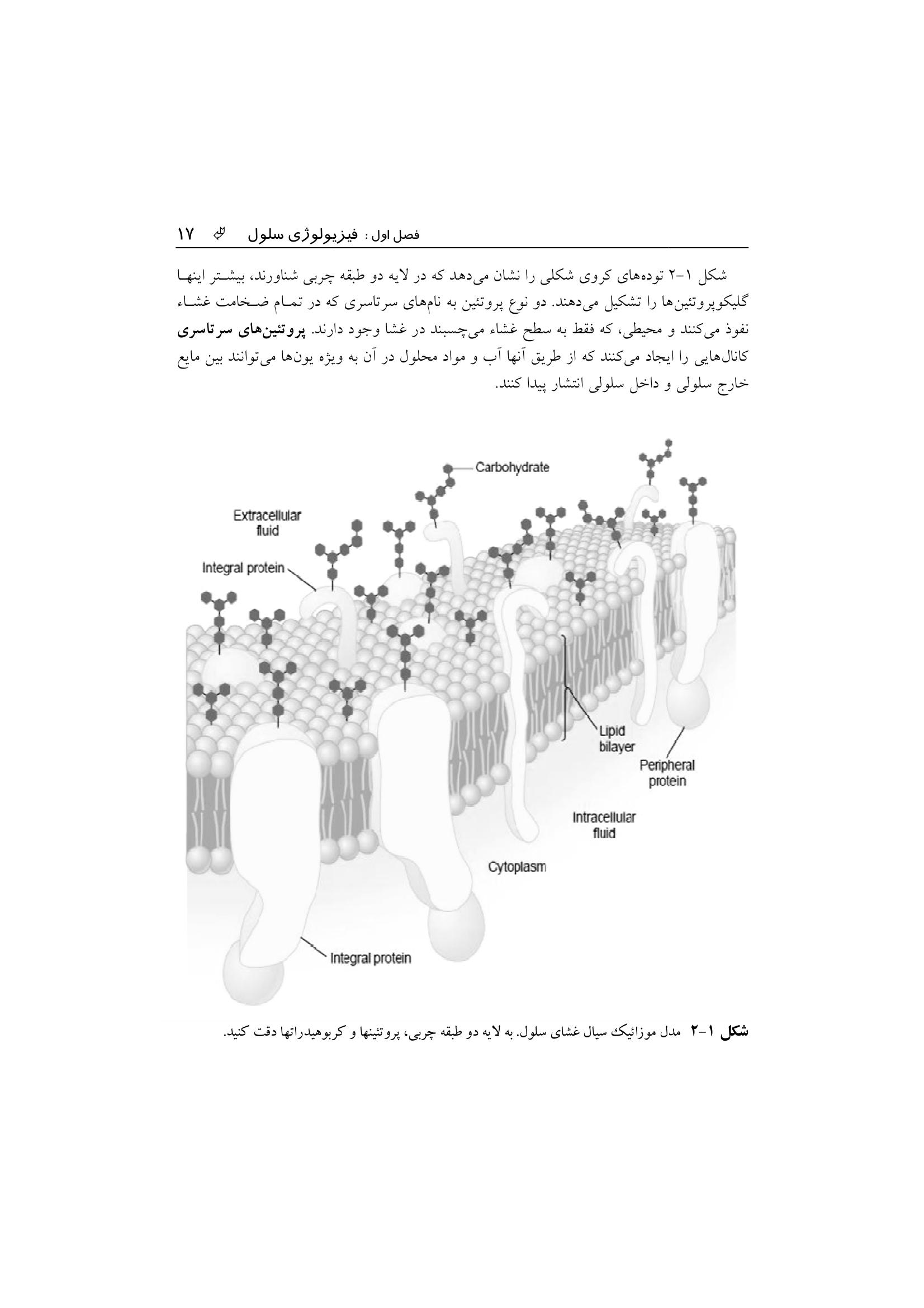 فیزیولوژی پزشكی - صفحه 14